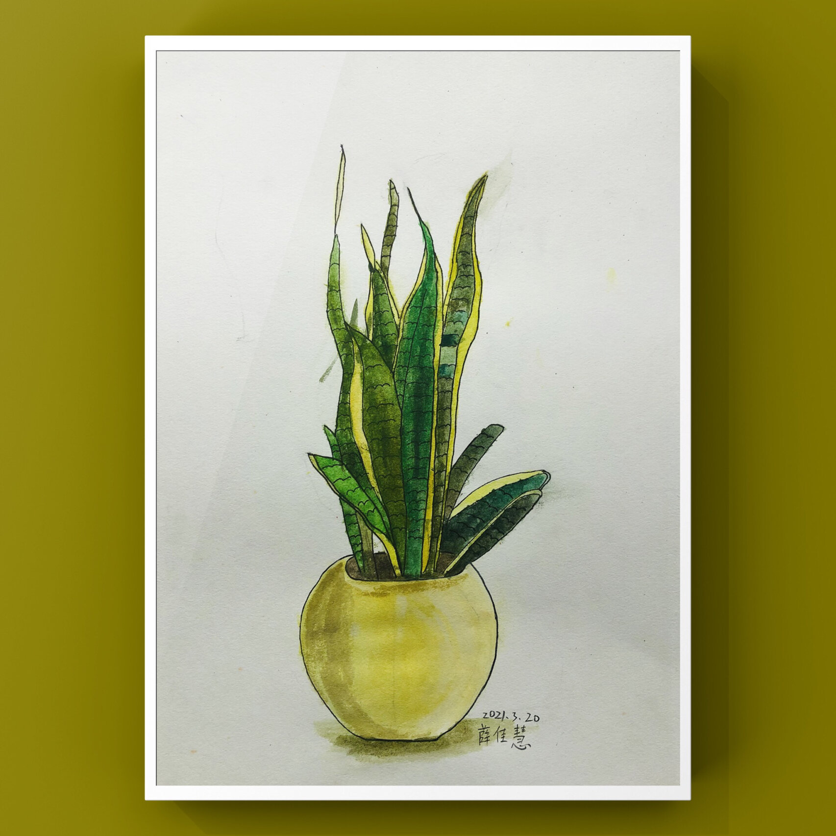 素描盆栽00写生