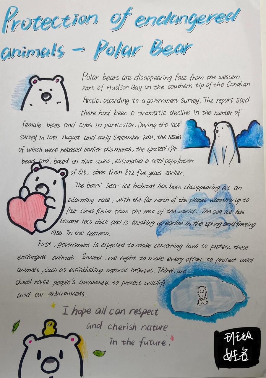 保护濒危动物—北极熊英文手抄报 保护濒危动物—北极熊英文海报素材