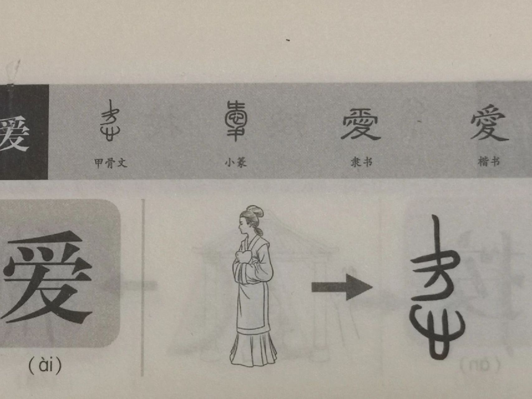 "爱"字的演变  @"爱"是个象形字.其甲骨文字形像一个双手捧着心的人.