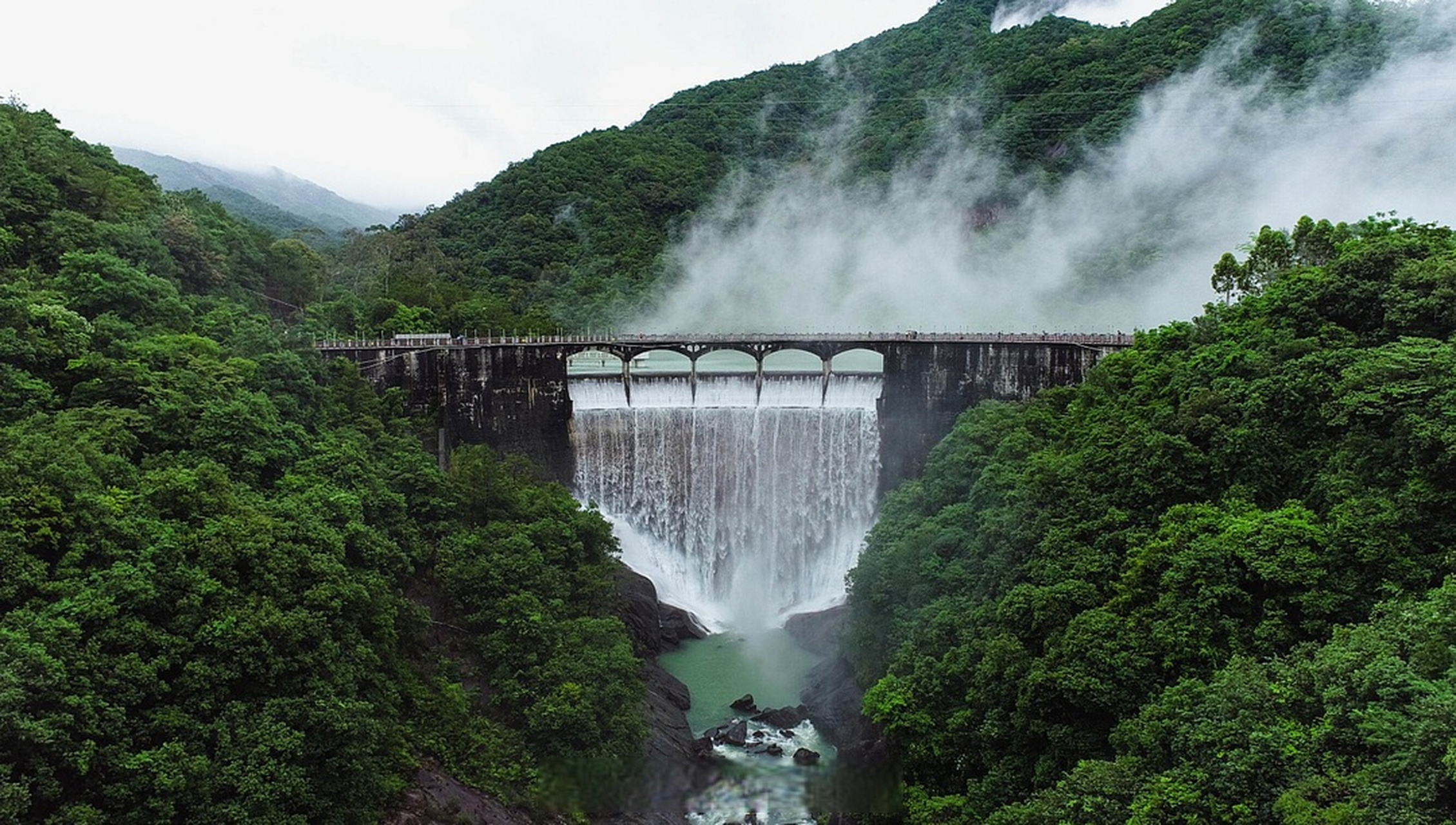 大丰门森林公园图片