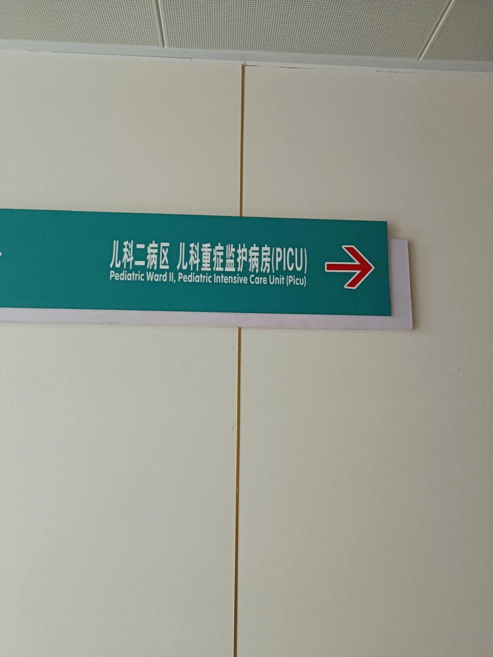 偃师县医院儿科病房,护士们正在走廊上忙着悬挂彩色气球,准备迎接六一