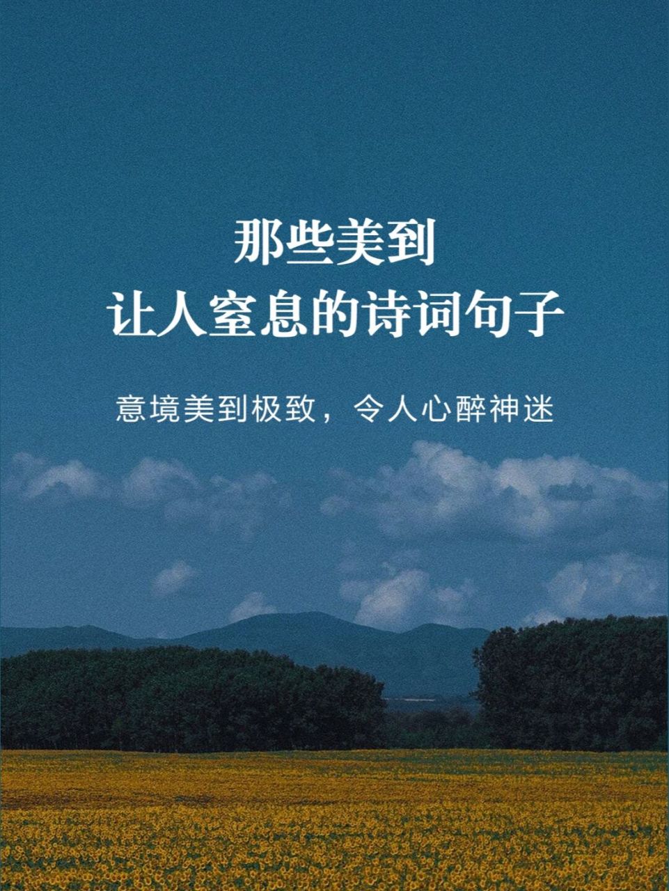 句子75157515 91那些美到让人窒息的诗句 91意境美到极致