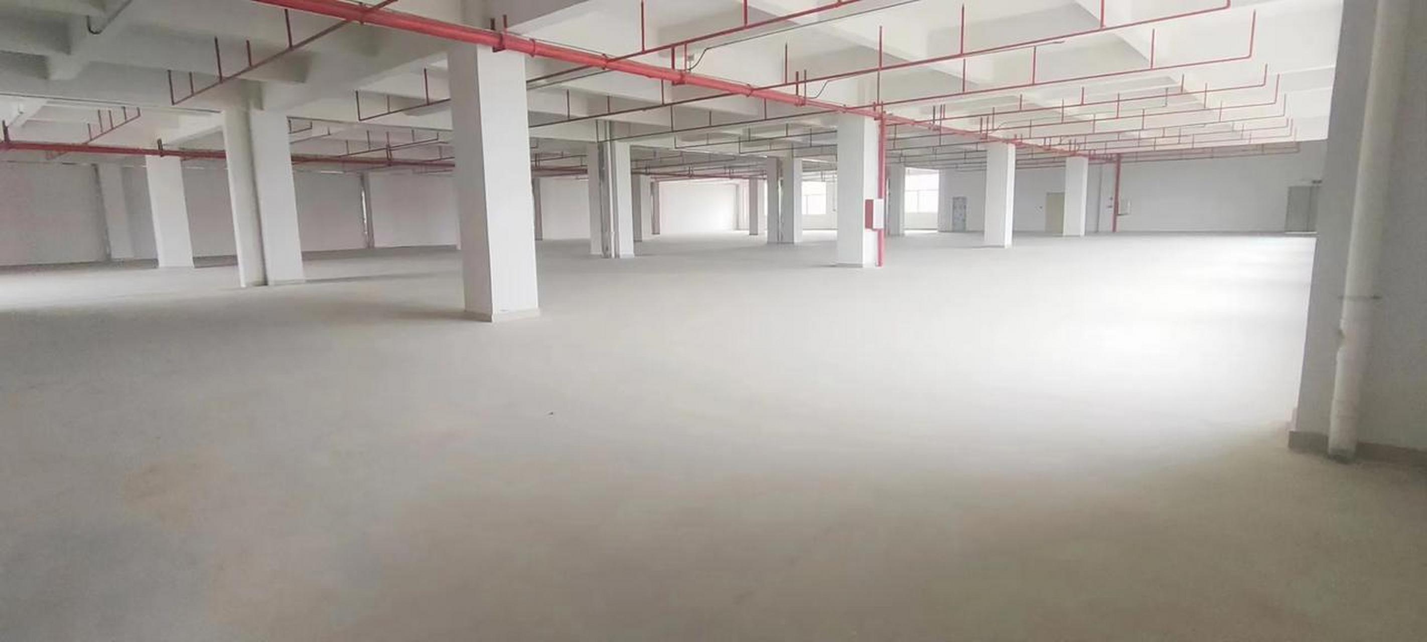 东莞黄江田心路19号 31566楼整层2560平方米,带办公室,仓库,可以