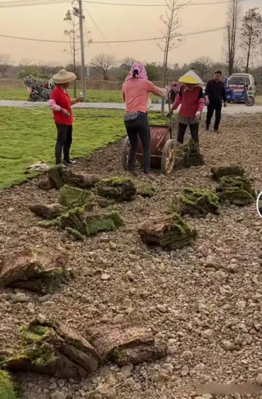 今天通过戈雅光电张大炮的视频,让我看到一群底层人民为了生活而努力