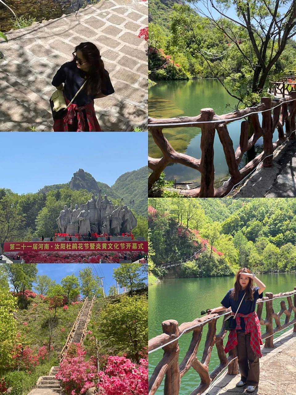 洛阳汝阳西泰山 被低估的美景 山上开的野杜鹃花,山间有清澈的流水