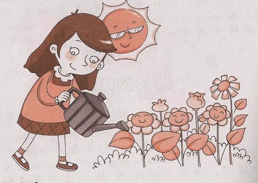 看图写话《浇花》