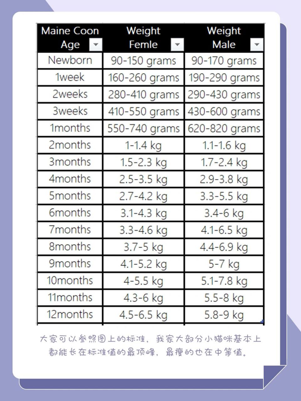 缅因猫月份体重表图片