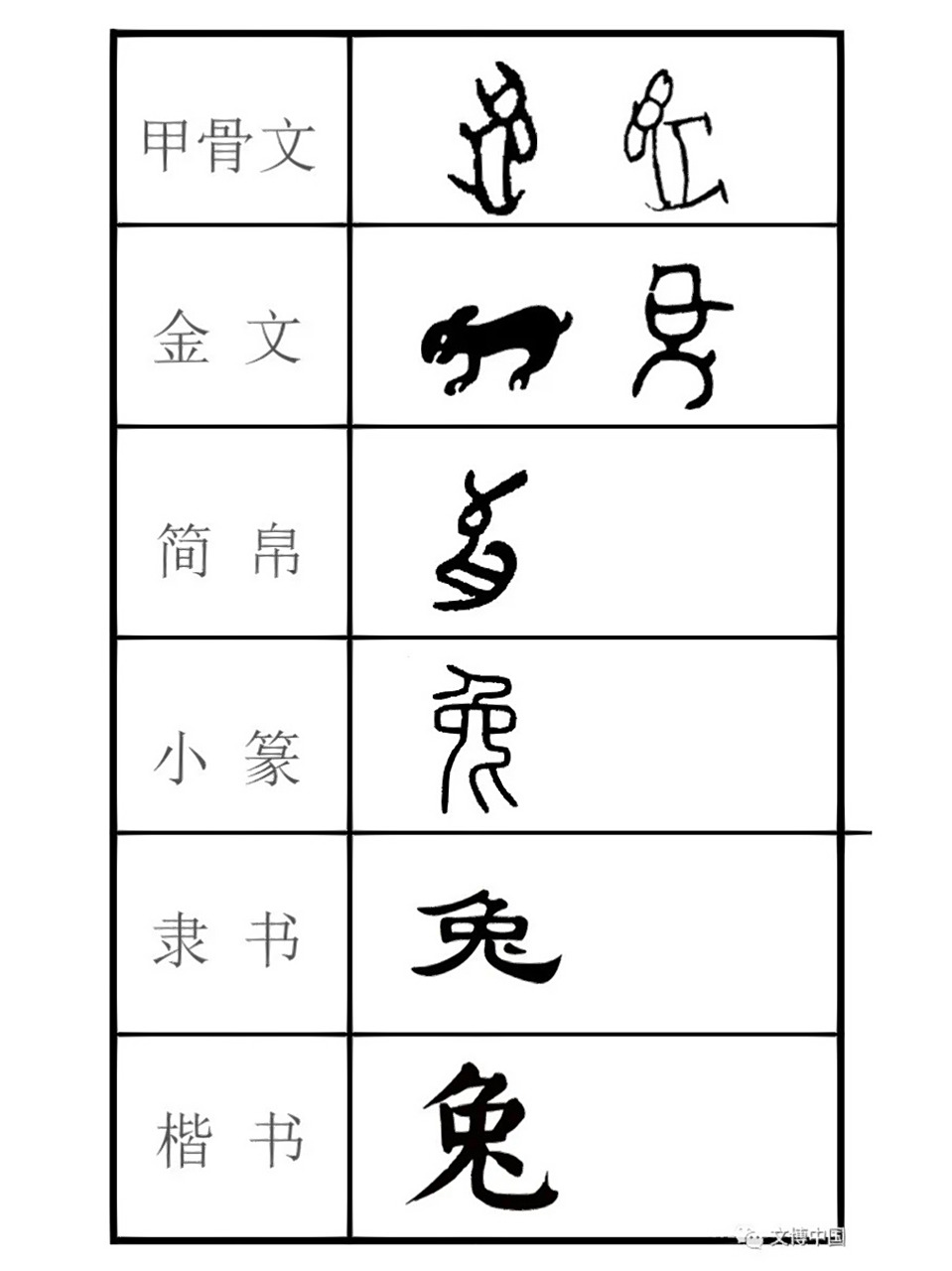兔字的演变 图片来自 文博中国