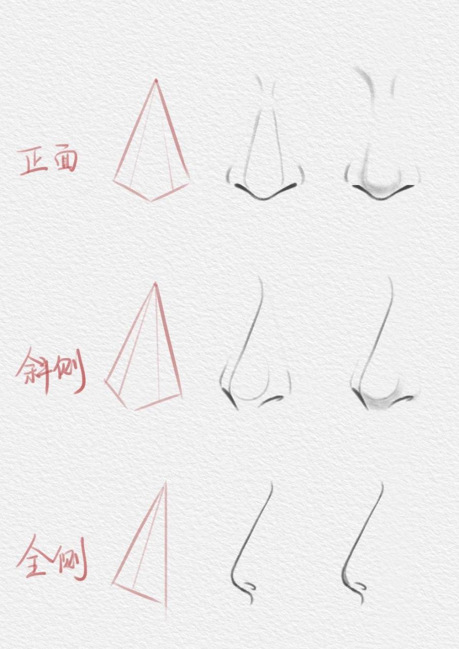 板绘|鼻子的画法练习 五官画不好的话那就把它们拆分,单个练习吧 鼻子