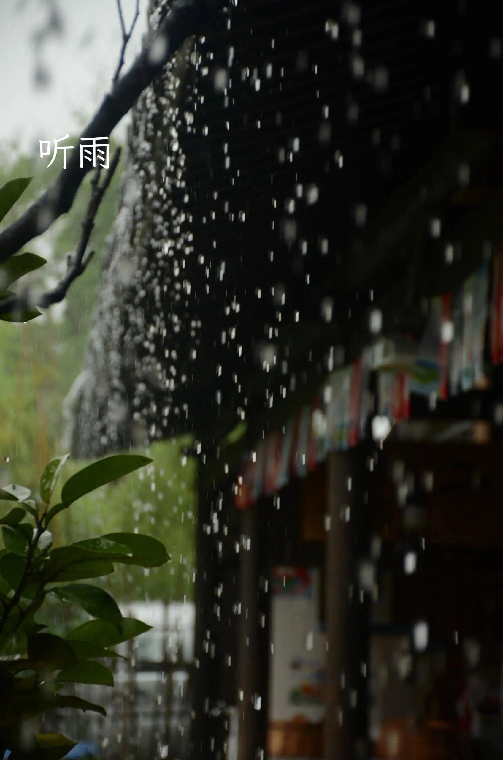 中国十大雅事(中国文化