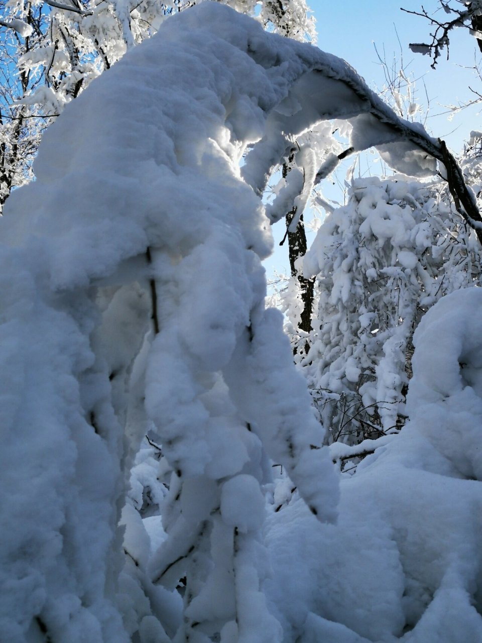 2021最美雪景图片图片