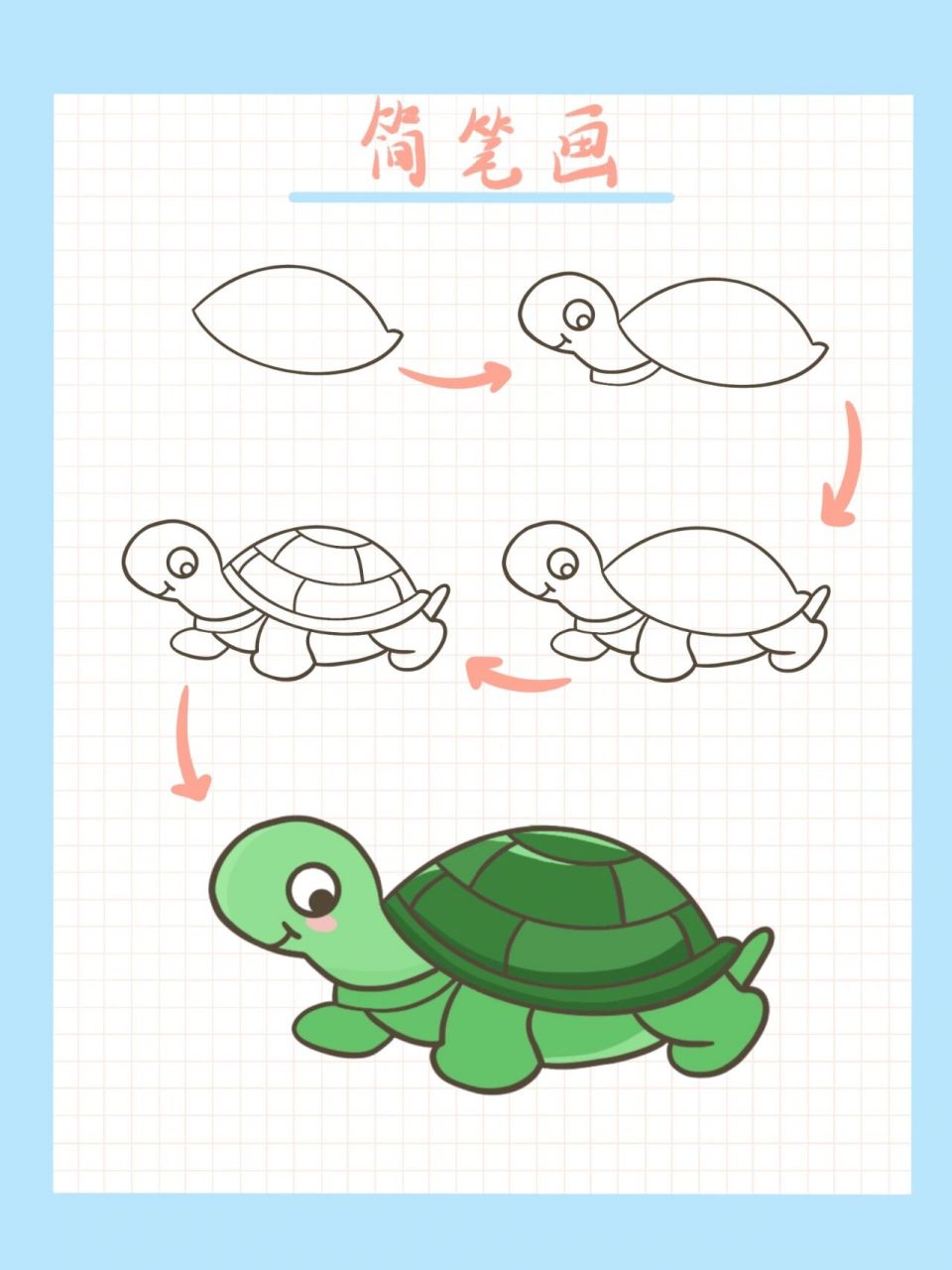 简笔画可爱乌龟 彩色图片