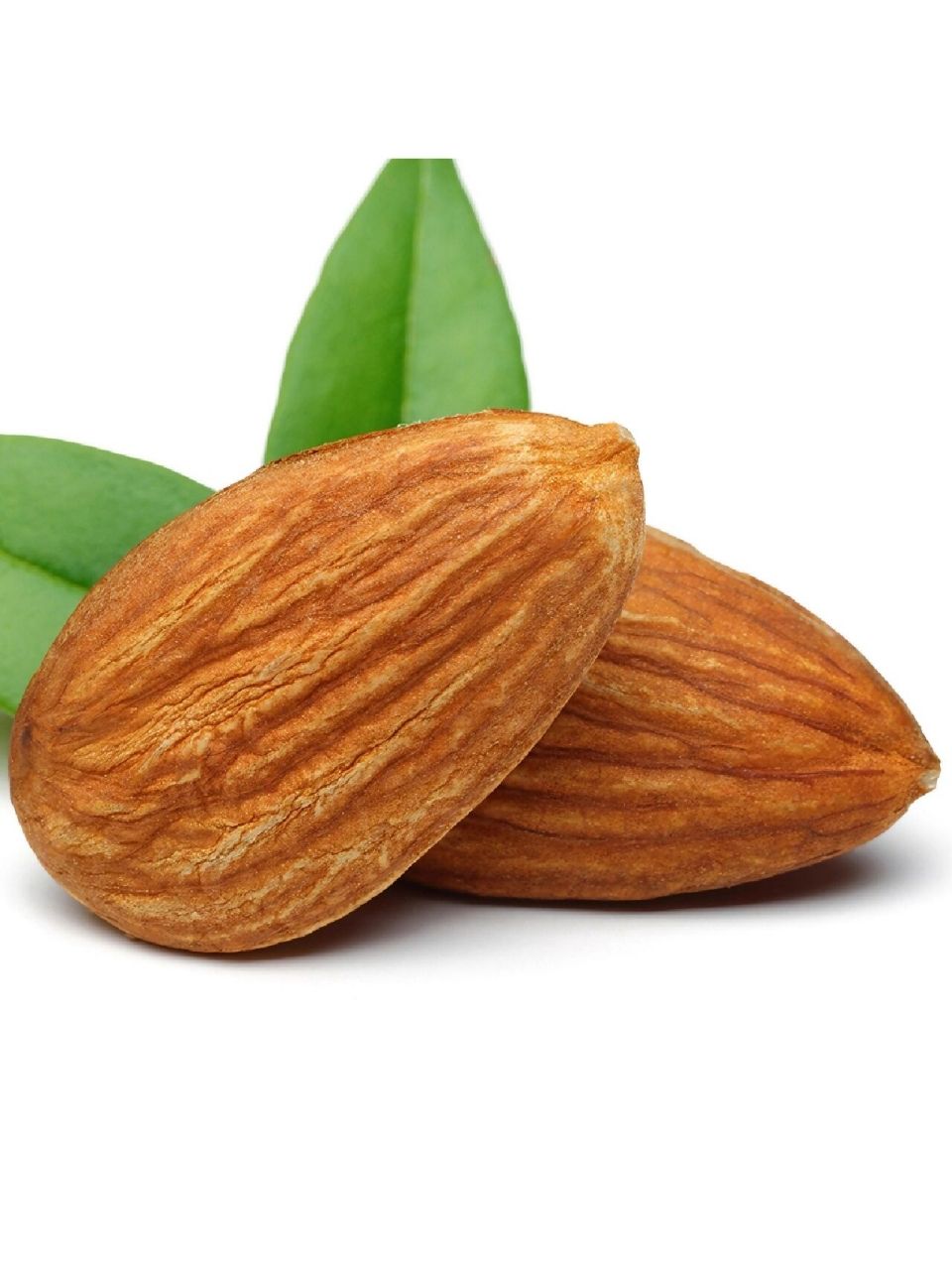 绘画素材:坚果干货合集