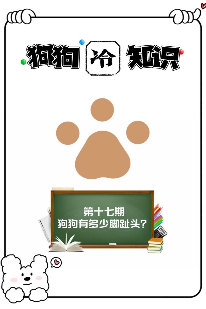 你家狗狗有多少脚趾头?