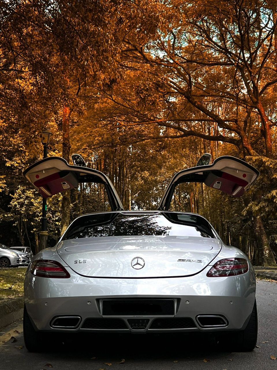 3自吸鸥翼门 今天的翻新项目是这台13年的奔驰sls amg!