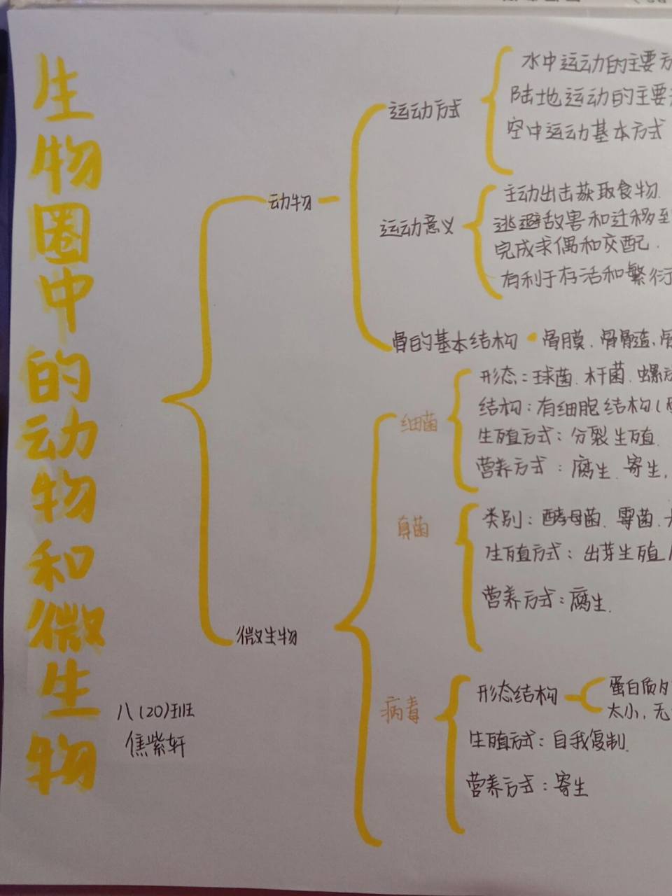 八上第五单元生物思维导图北师大版 生物圈中的动物和微生物