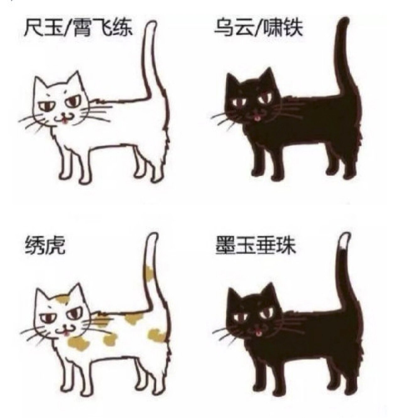 你知道猫咪在古代的雅称都叫什么吗 你知道古代的不同花色的小猫咪都