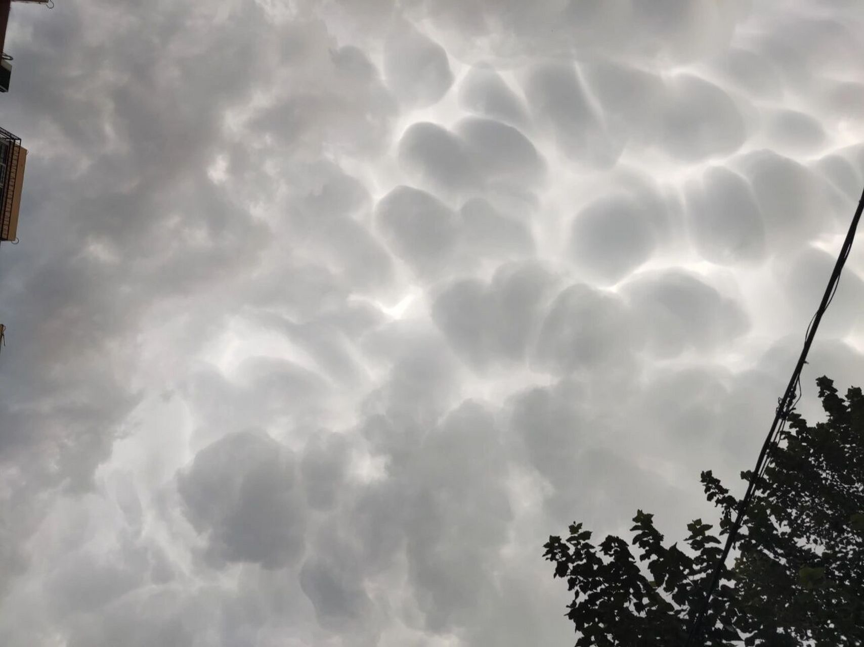 邯郸天气 今日份的天气,看着很好看哦
