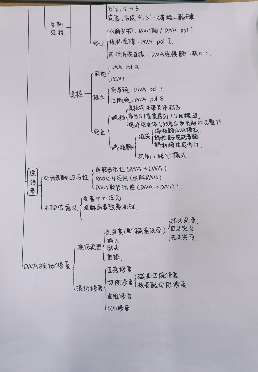 思维导图合并两个主题图片