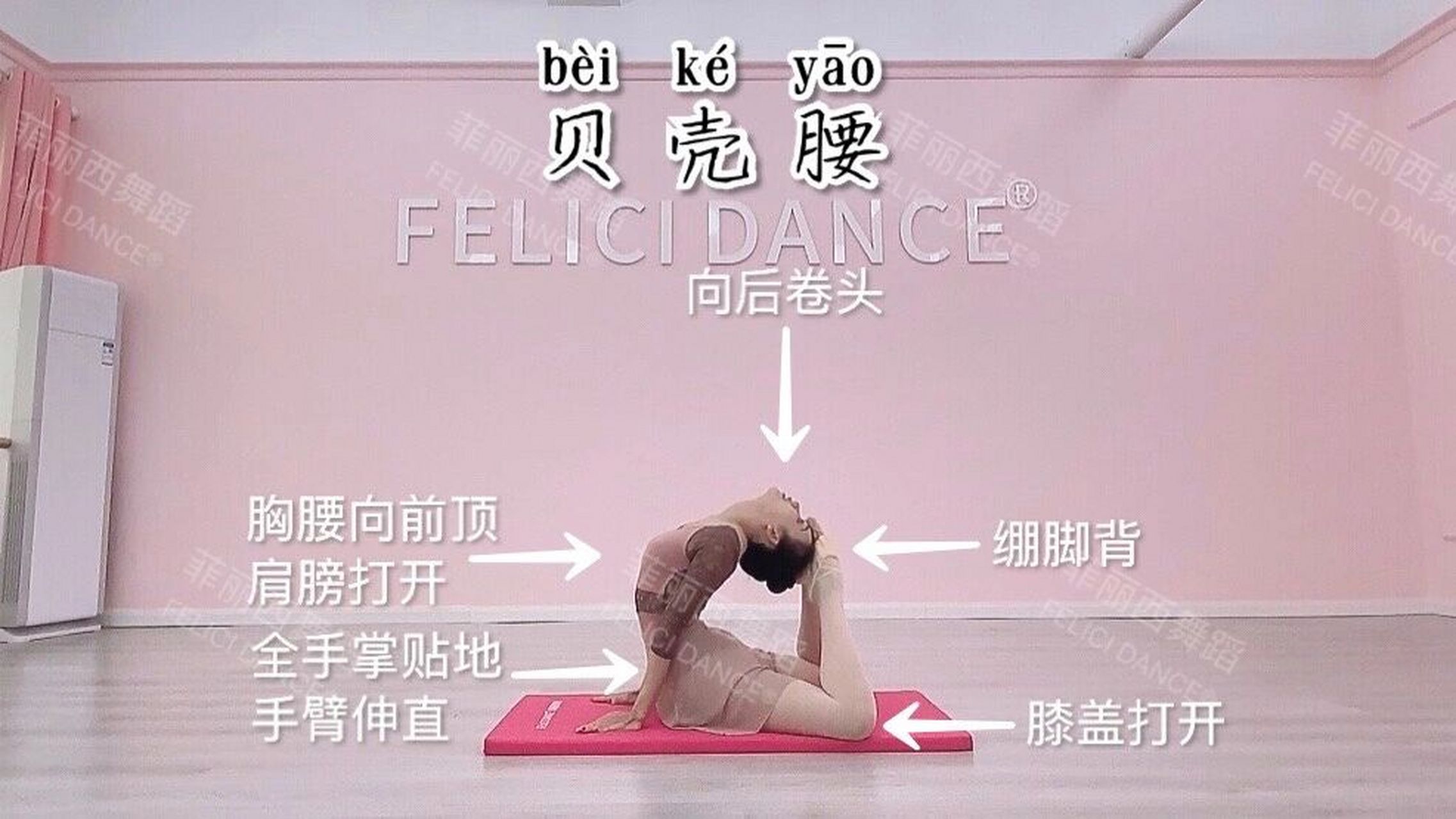 一级-- 后卷腰,贝壳腰,反弓撑腰(教学示范)