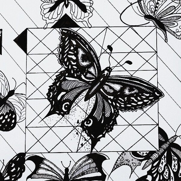 蝴蝶—平面构成(黑白装饰画) 通过将不同种类,形态各异的蝴蝶进行排列