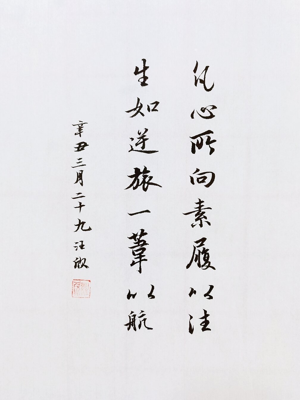 生如逆旅,一苇以航