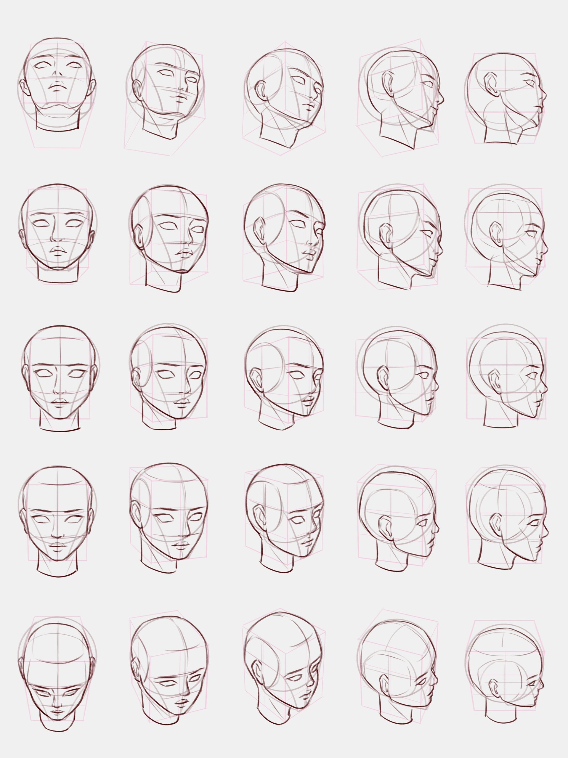 透视练习-人体头部多角度
