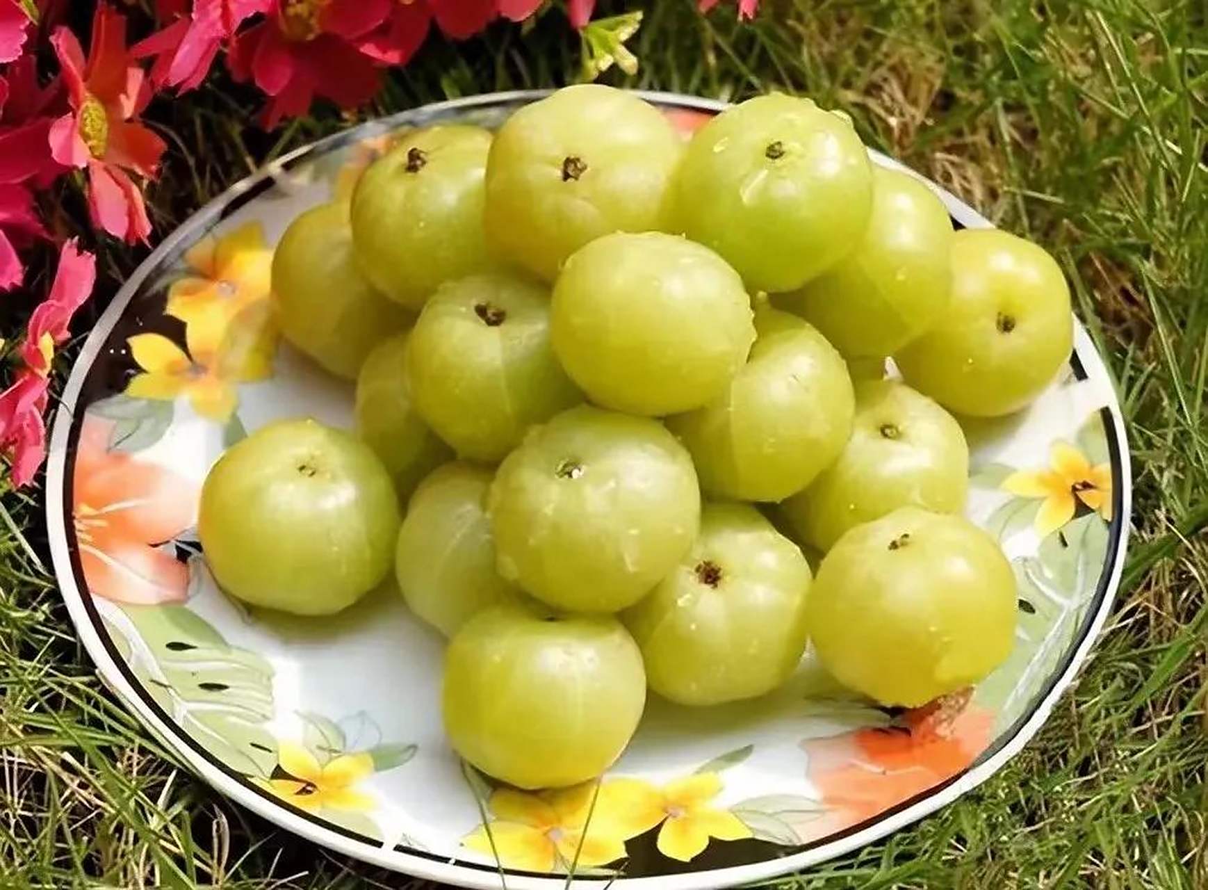 余甘果肉厚,纤维少,营养丰富.