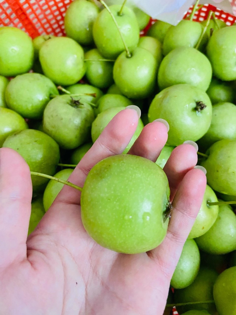 广西人才吃过的青皮山楂,真的好吃97  直接吃会酸中带点涩,但是像