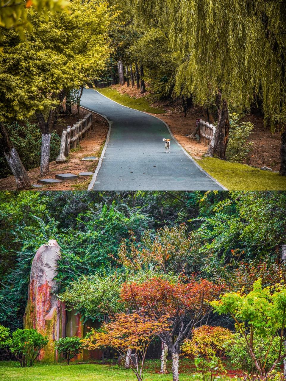 世界三大石柱群之一 青岛即墨马山石林 山东青岛即墨区马山地质公园