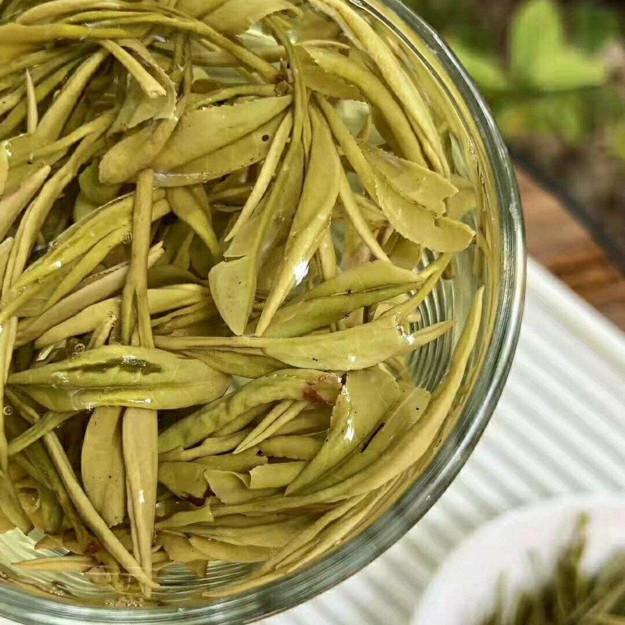 安吉白茶黄金芽 安吉白茶黄金芽,一年只采一次.