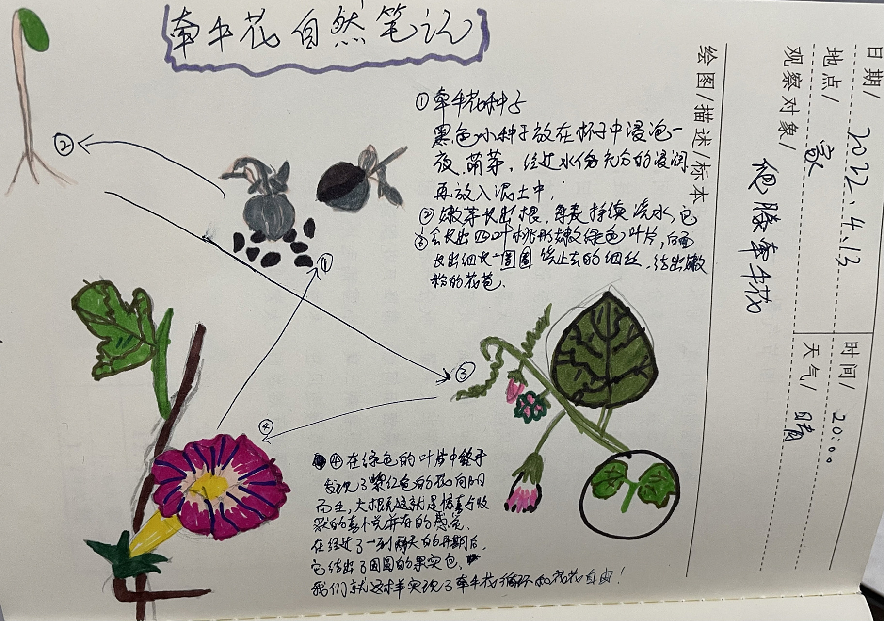 92一:怎么理解自然观察笔记 自然笔记是对自然事物的描述和记录 是