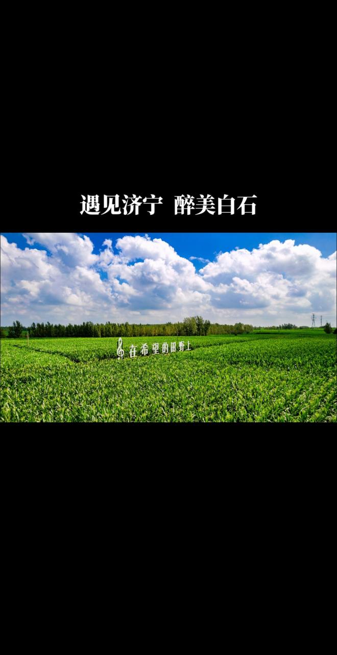 汶上县摄影家协会走进白石镇进行采风活动遇见济宁 汶上 乡村振兴