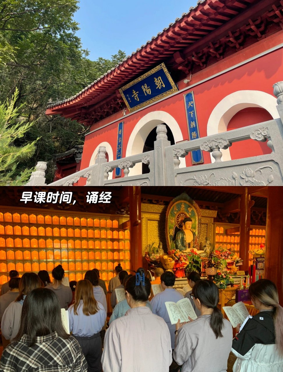 男朋友终于成功报名北京朝阳寺的禅修营