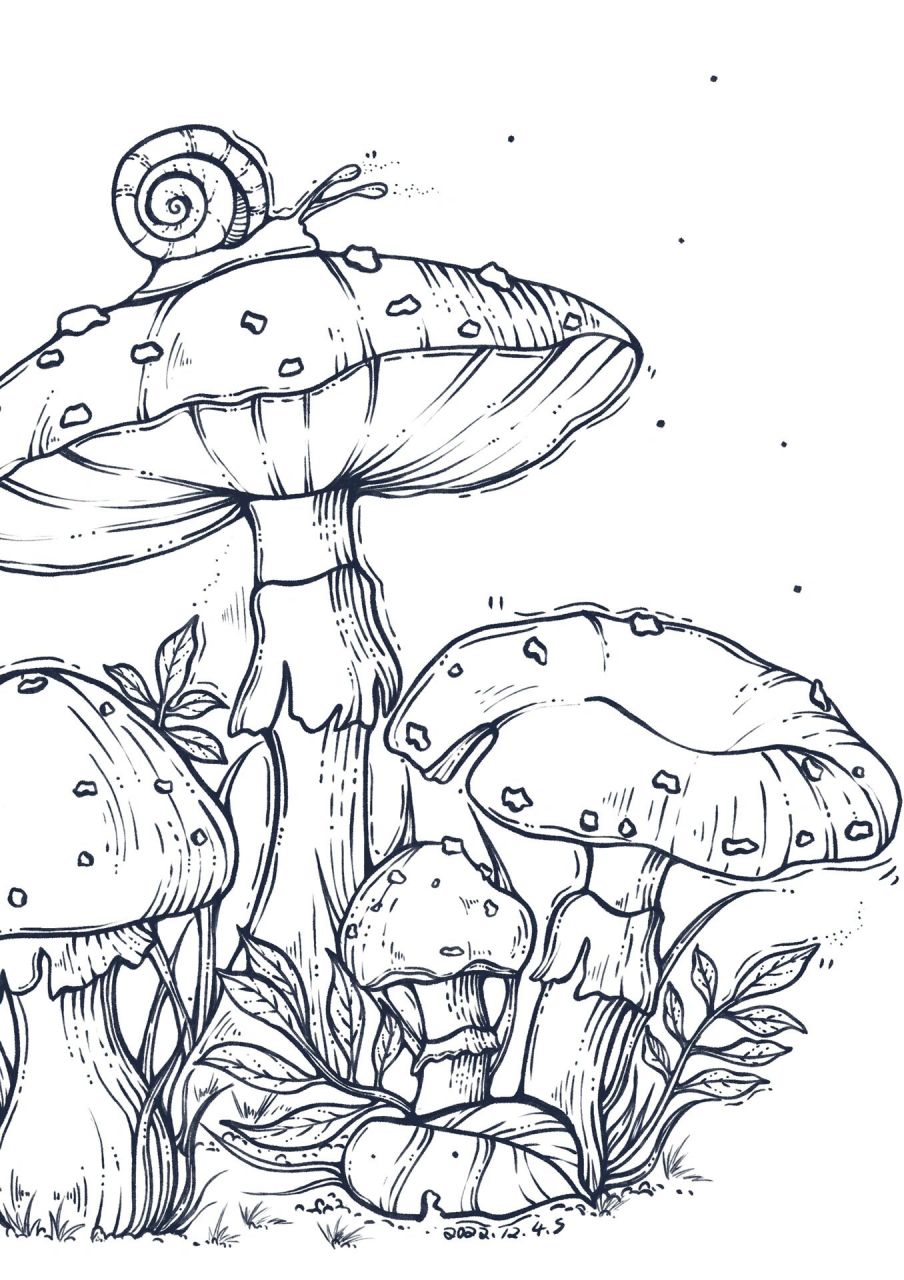 今日绘画:蘑菇-毒蝇伞 工具:procreate 笔刷:听盒  参考:migreeem密