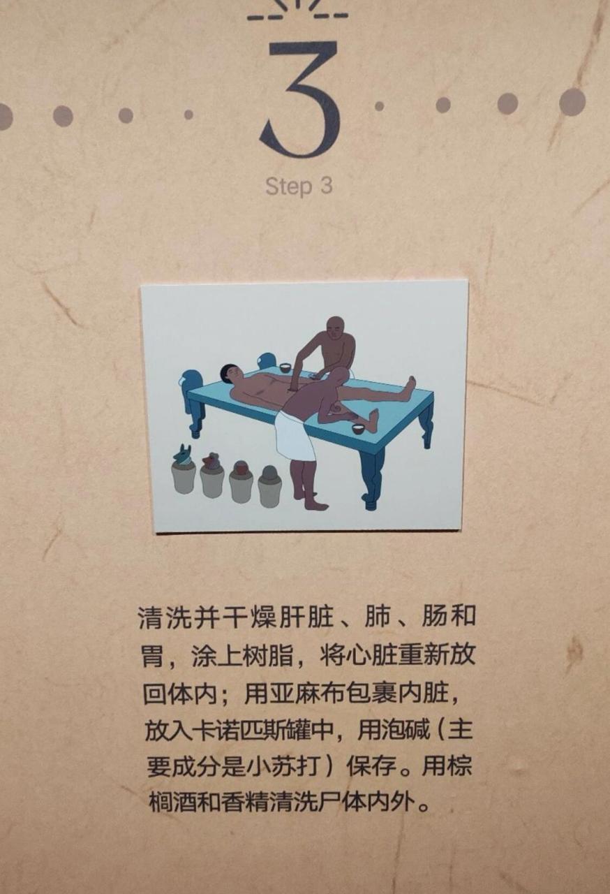 来了解下木乃伊制作全部过程.