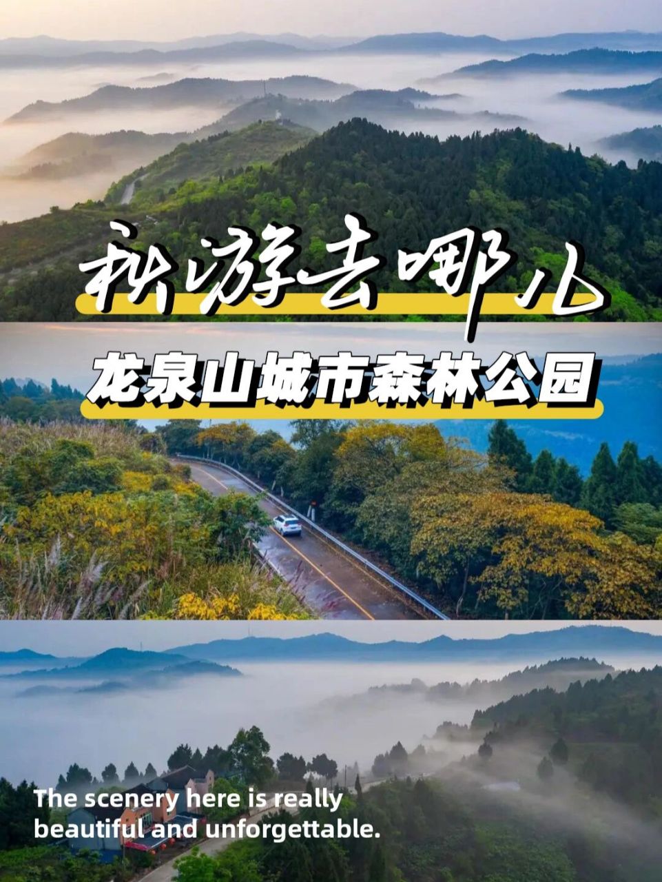 龙泉山森林公园来耍一耍!