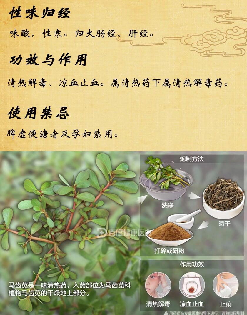 【中药名】马齿苋 【别名】瓜子菜,酸味菜,马舌菜,马齿草,马齿菜