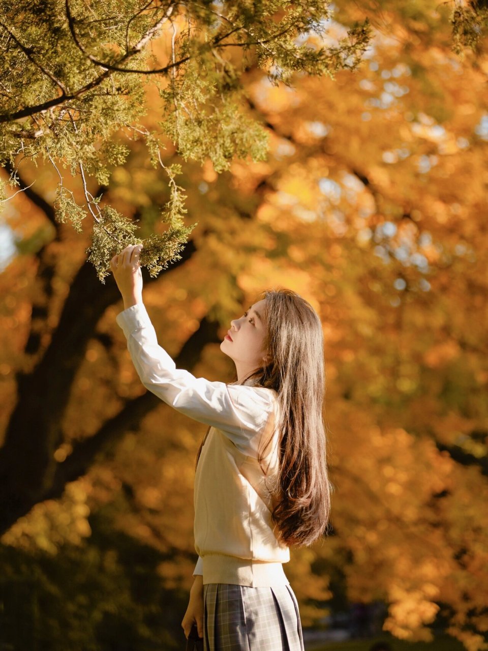 在清华大学居然能拍到这样的秋天照片!