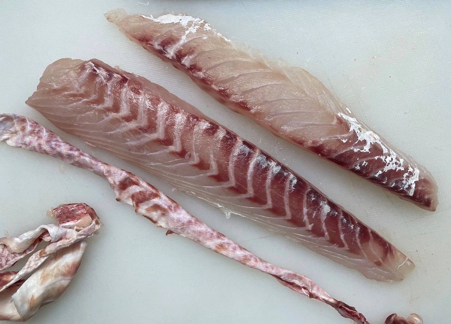 长尾滨鲷 长尾滨鲷,俗称长尾鸟.