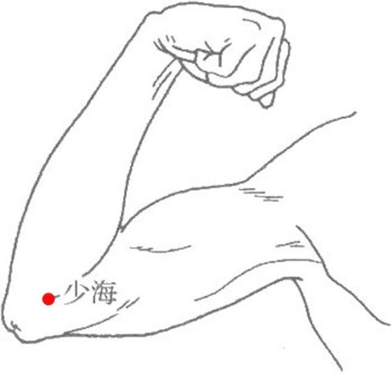 一天记一个穴位—少海 少海穴,属手少阴心经,合穴.