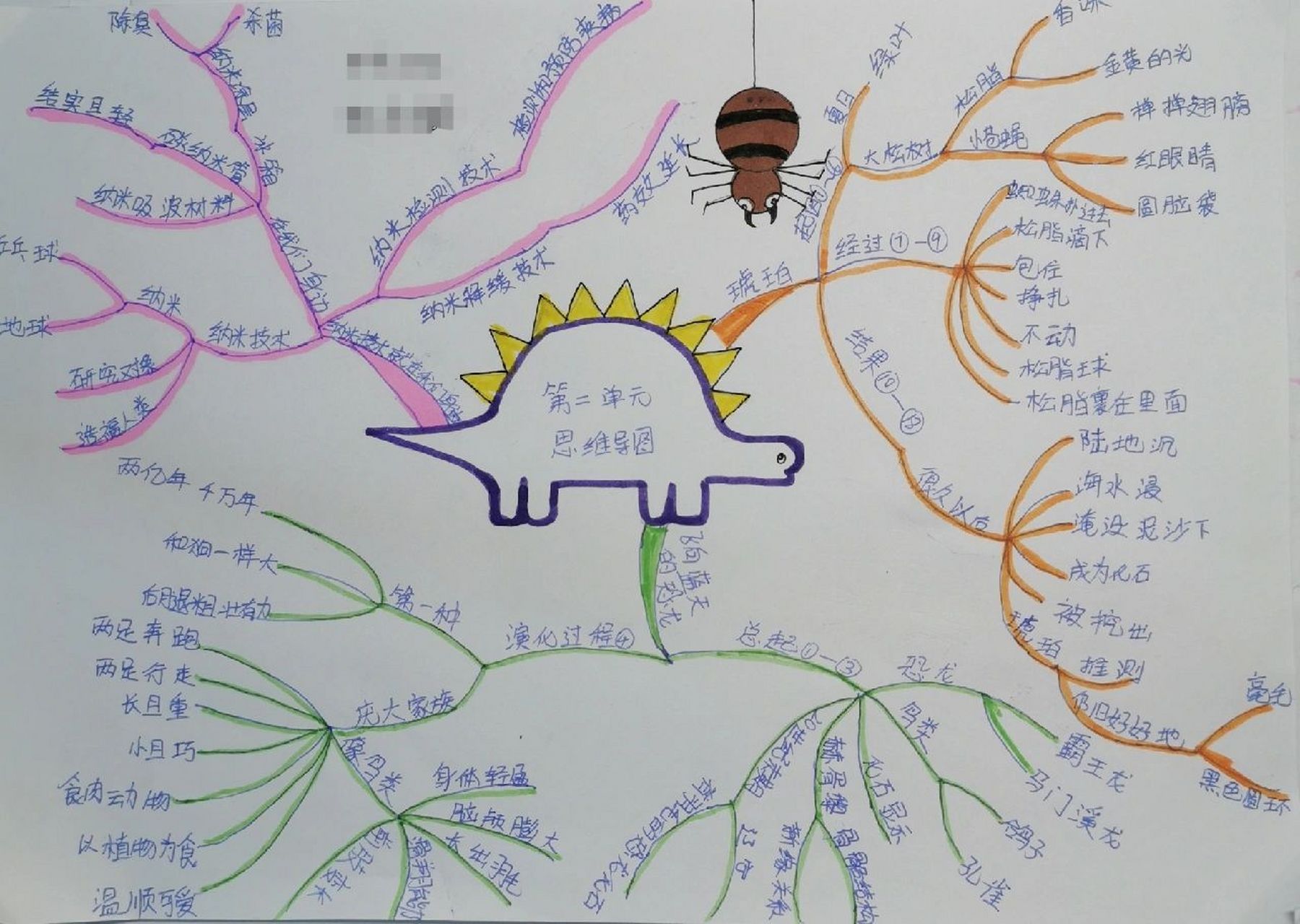 四年级下册语文第二单元思维导图  # 四年级下册语文第二单元思维导图