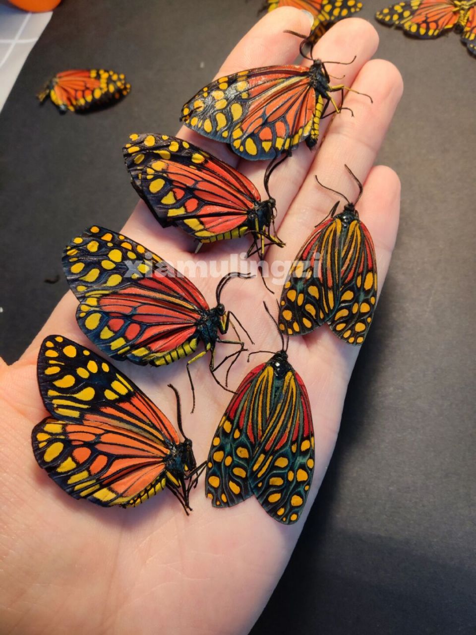 一种非常艳丽的国产蛾子 云南旭锦斑蛾 正反两面都极其艳丽多姿彩 谁