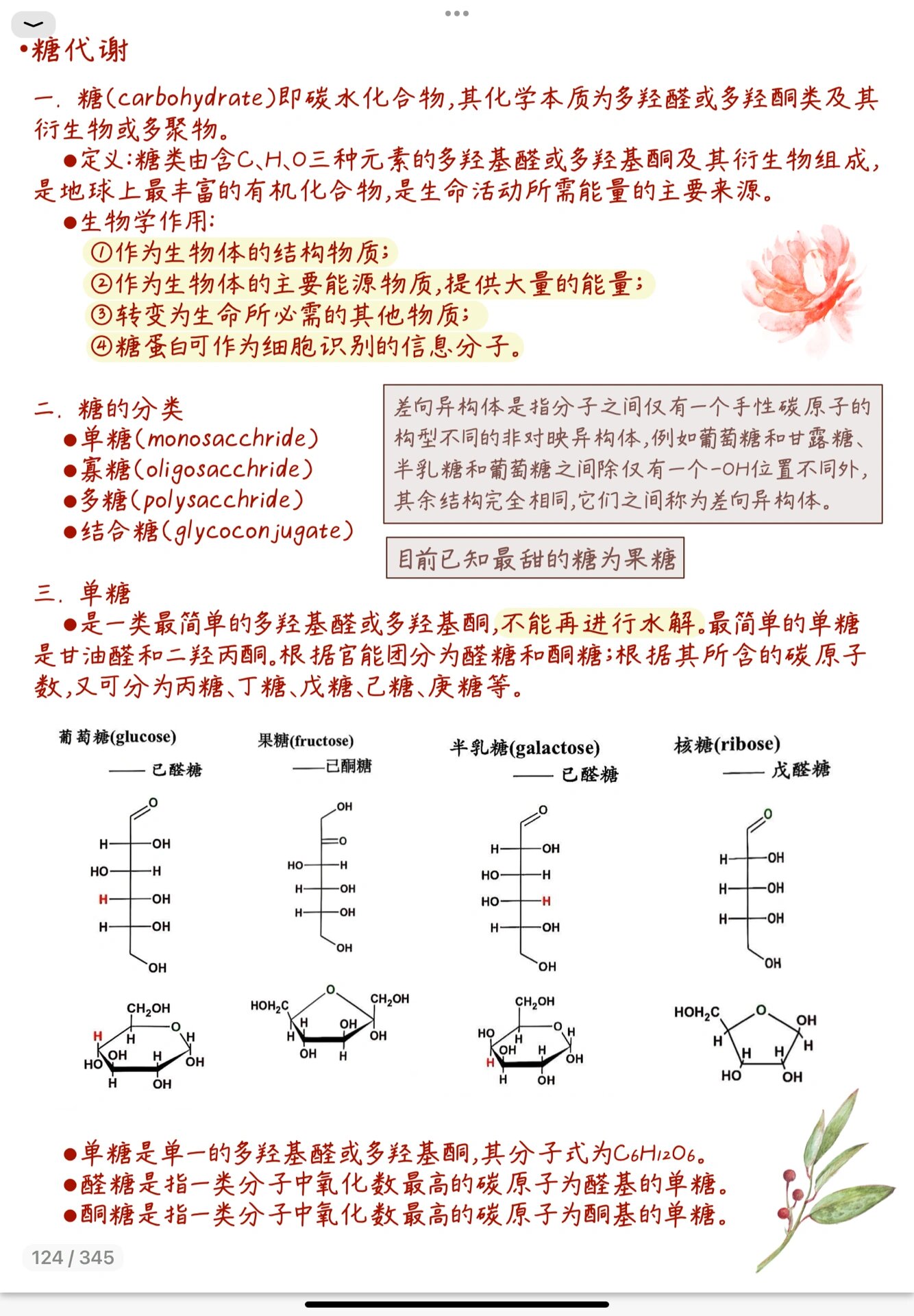 《生物化学》糖的结构