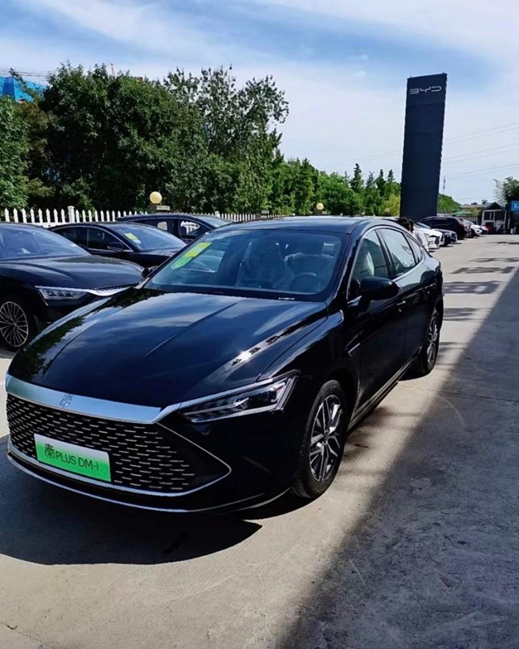 秦plus dmi 选黑还是白色?红或灰.