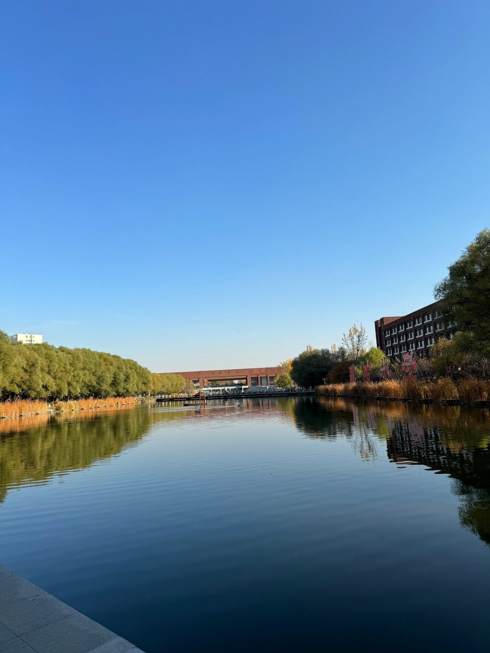 我的学校沈阳建筑大学 秋天来到我的学校是非常好看