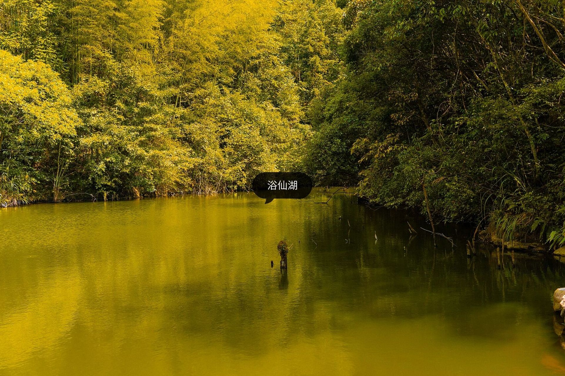 武义牛头山一日游攻略93|保存收藏6015超有用 武义牛头山是浙中