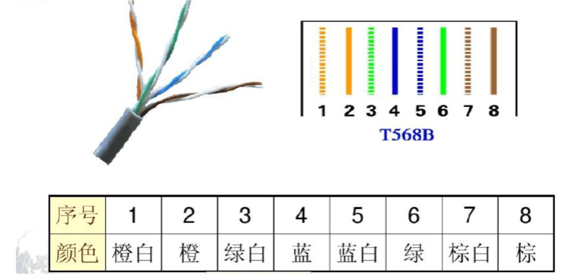 网线插座水晶头排线图片