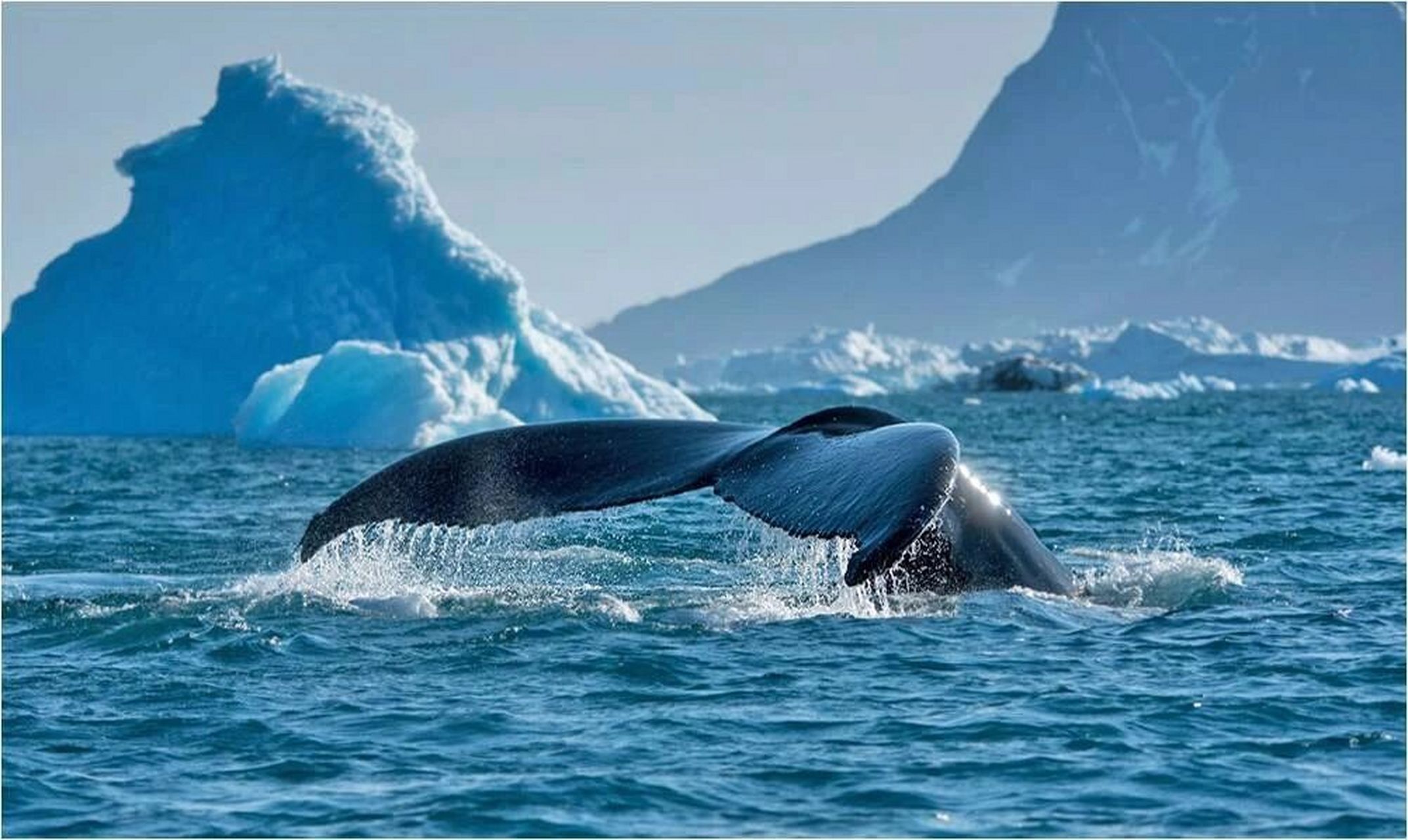 我们都知道,地球上海洋约占了2/3的面积,陆地只有1/3,且包括所有涤祆