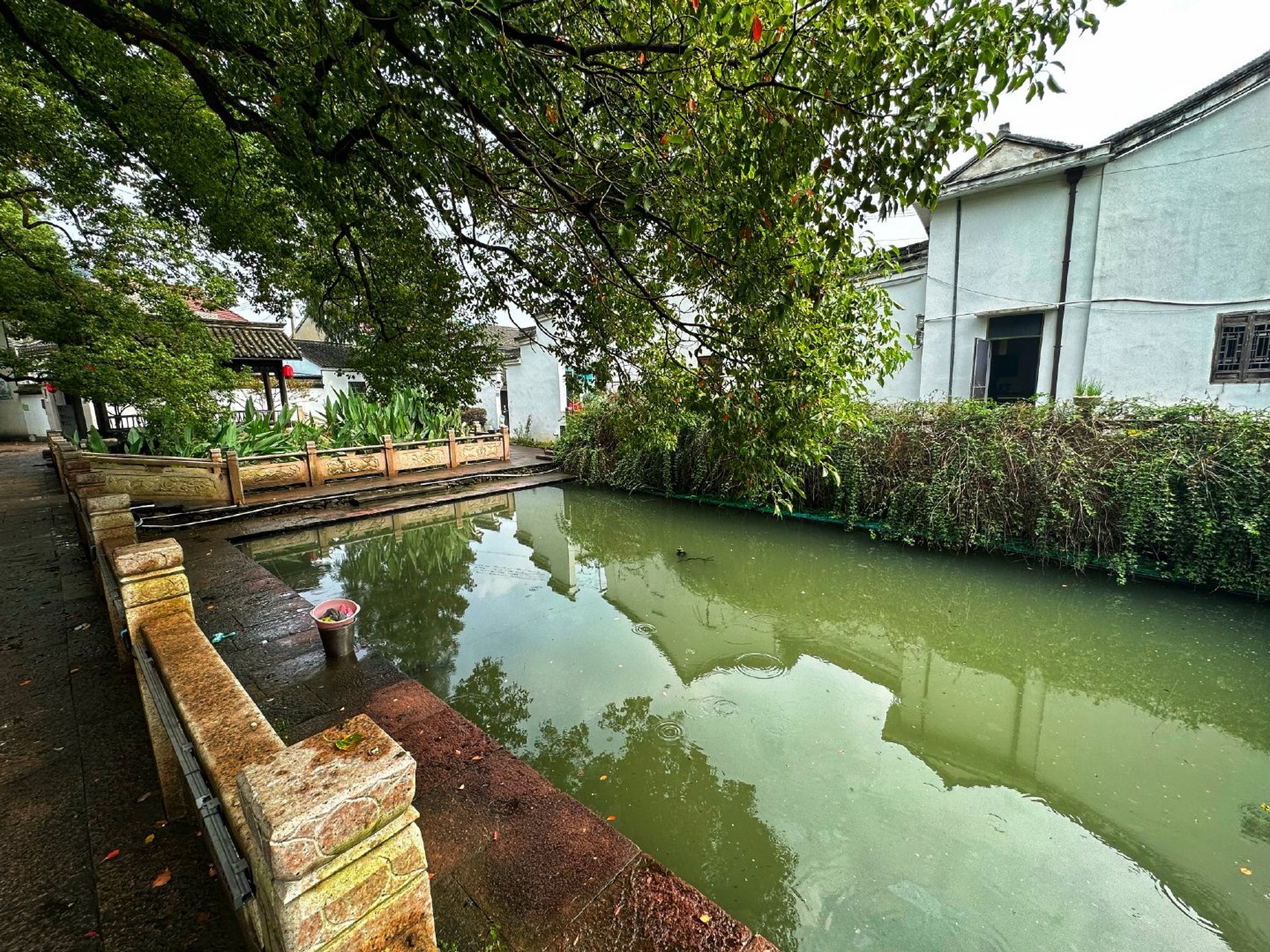 #美丽宁波#古村染上了秋天的气息,枝上